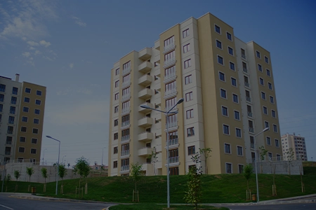 Vaidiki Upcoming