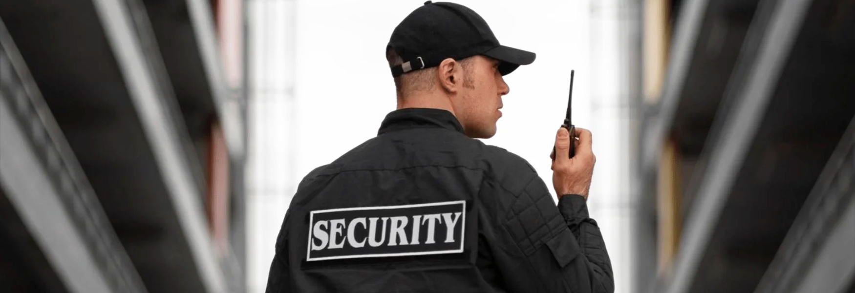 Velora Business Hub Thane Security